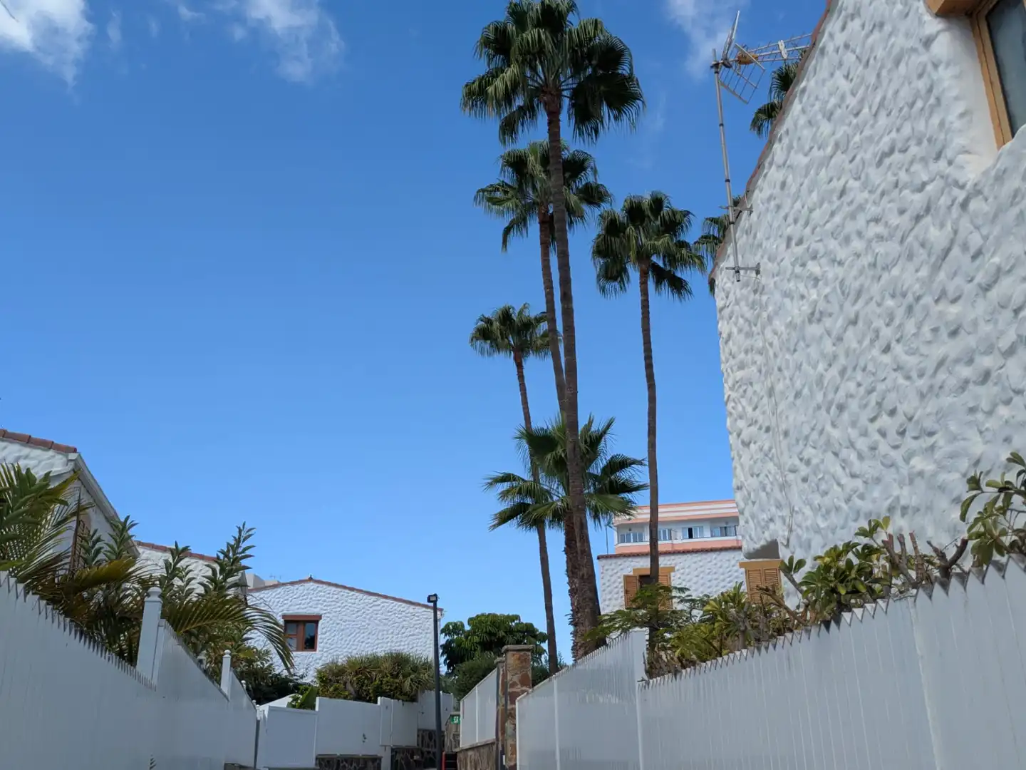 Bungalow avec piscine à vendre à Avenida de Menceyes 5, imagen 48