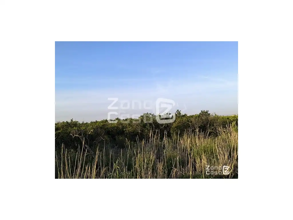 Country homes for sale in Algemesí, Valencia