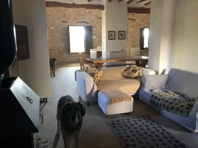 Casa in vendita a Jumilla, imagen 11