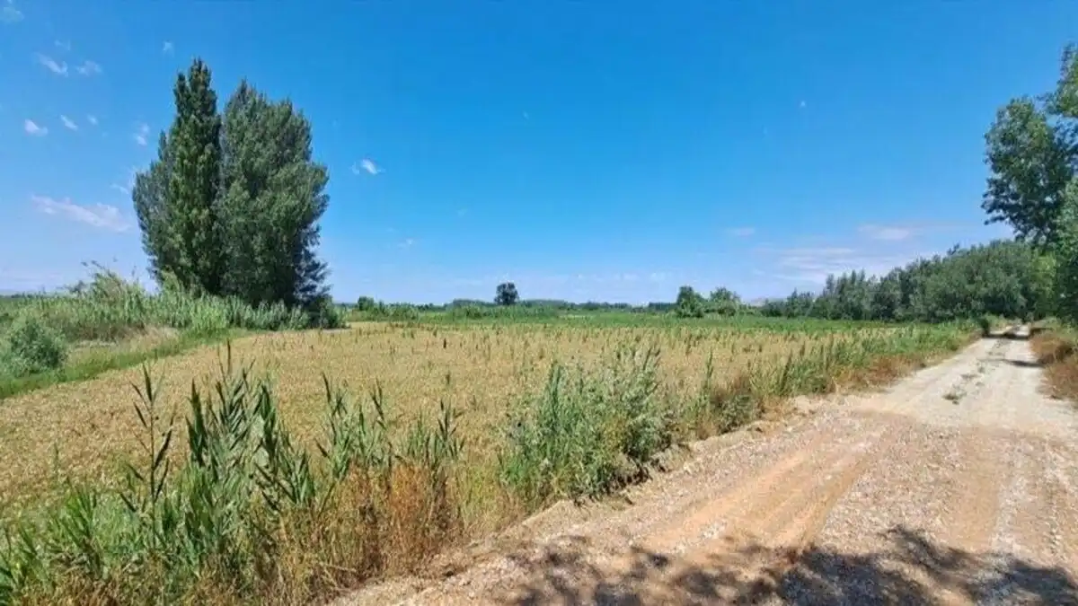 Residencial en venda en Novillas