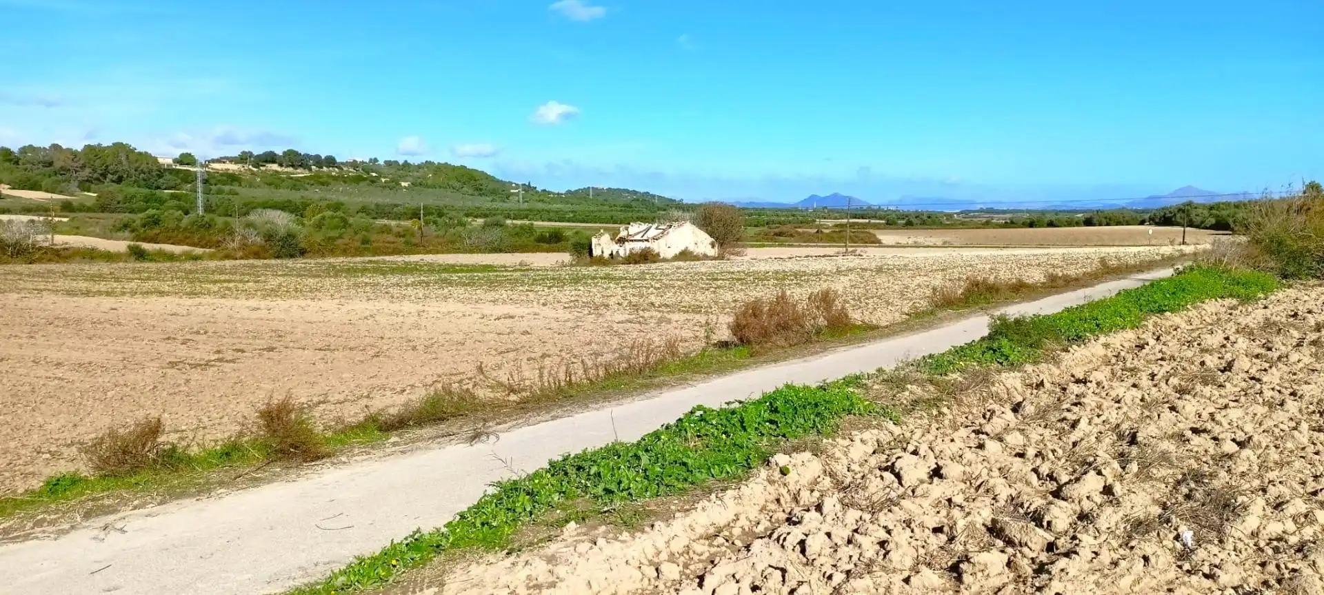 Wohnbaugrundstück zum Verkauf in Muro, imagen 19