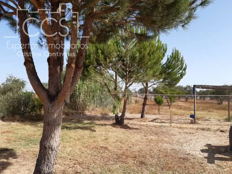 Casa rústica amb jardí en venda a Almonte ciudad, imagen 18