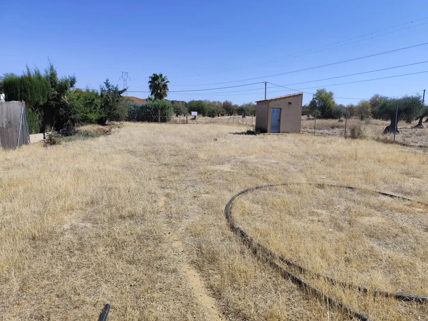 Terreno rústico en venta en Don Álvaro, imagen 6