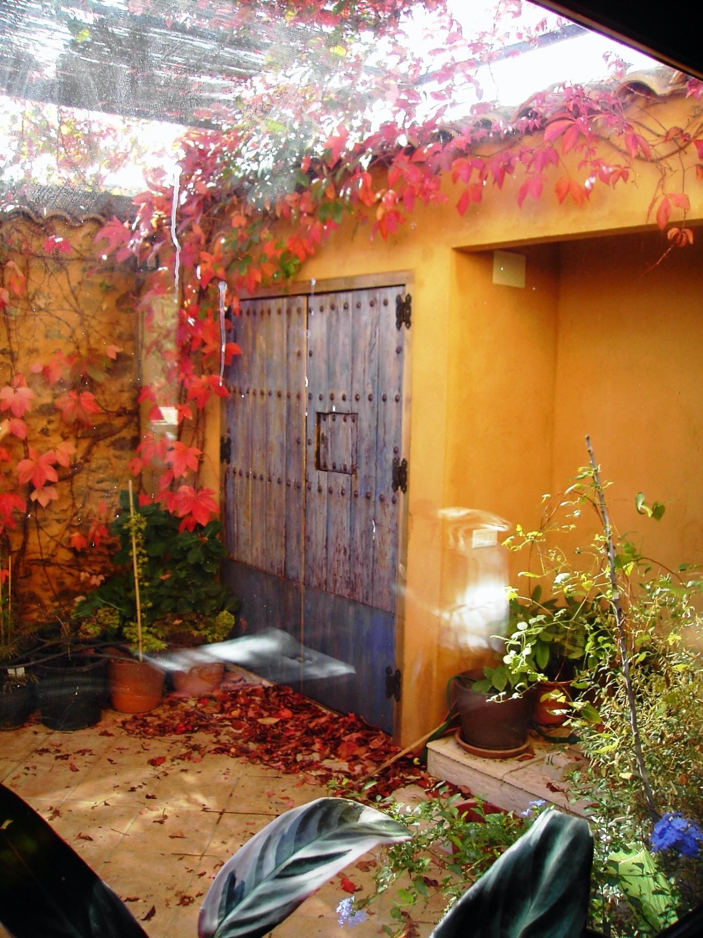 Garden of House or chalet for sale in Calera de León  with Private garden, Terrace and Alarm