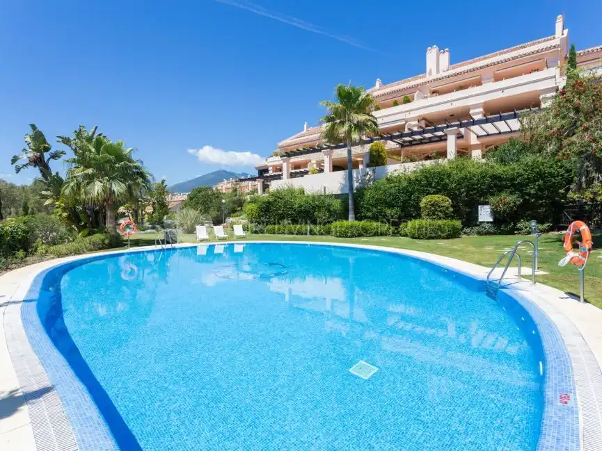 Apartament amb terrassa de lloguer a Nueva Andalucía, imagen 25
