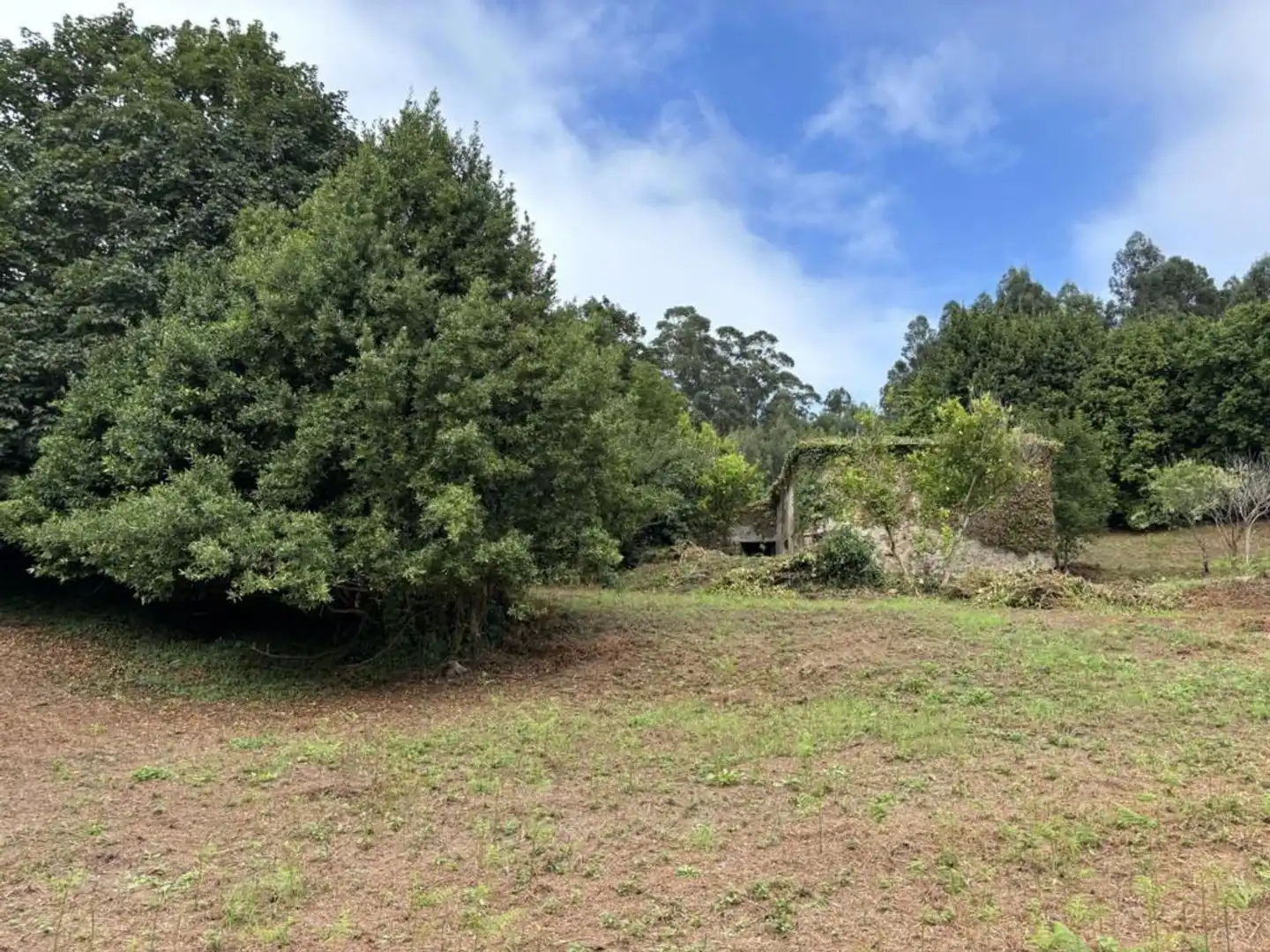 Country homes for sale in O Vicedo 