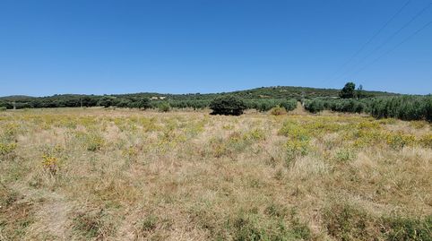 Finca Rúst. en venta en Ciudad Real., immagine 5