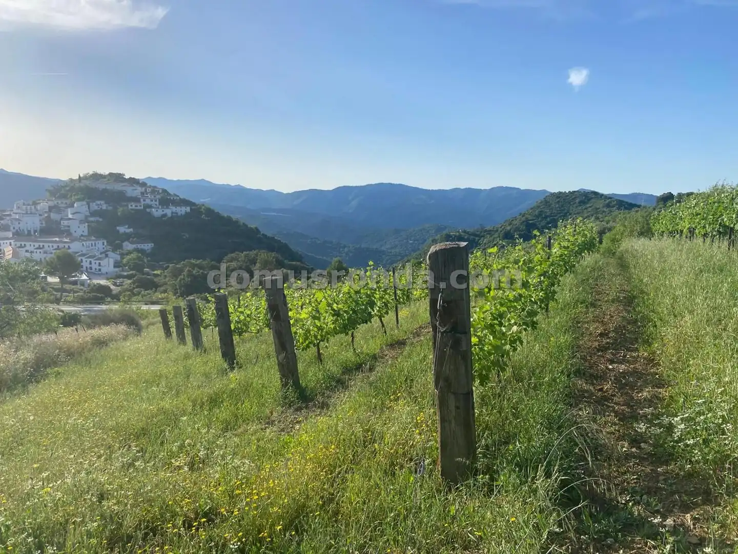Terreni e lotti in vendita a Atajate, imagen 2