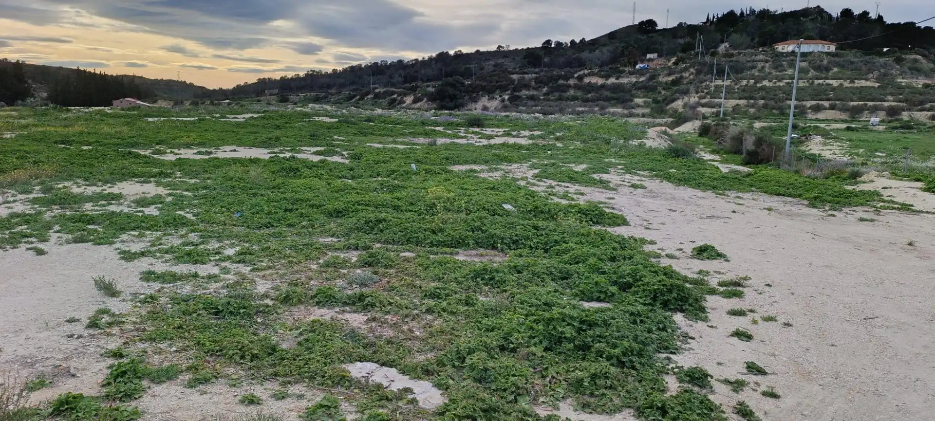 Land for sale in Aspe