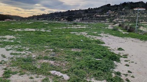 Foto 5 de Terreny en venda a Pedanías Oeste, Aspe