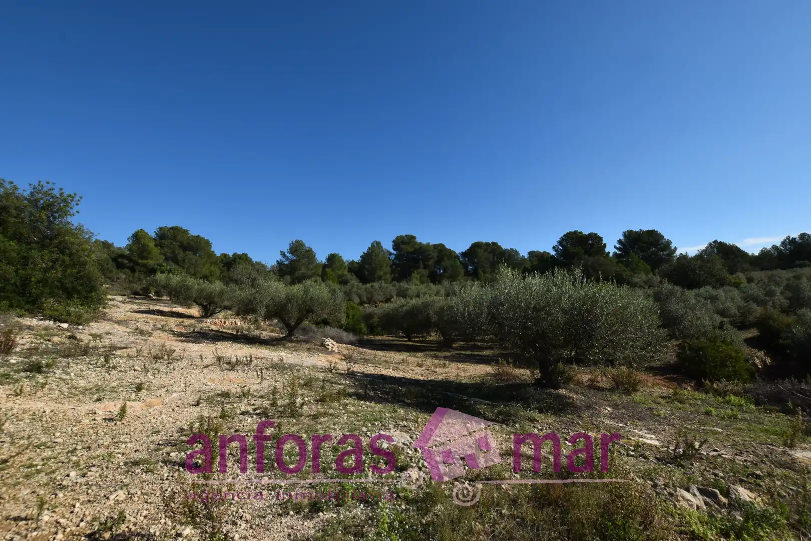 Terreno rustico in vendita a Urbanitzacions de Llevant, imagen 4