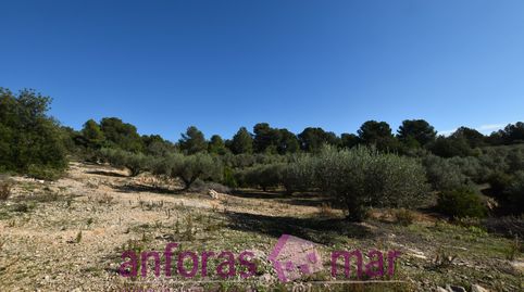 En funcionamiento, acceso fácil a 5 km de Tarragona ciudad, imatge 4