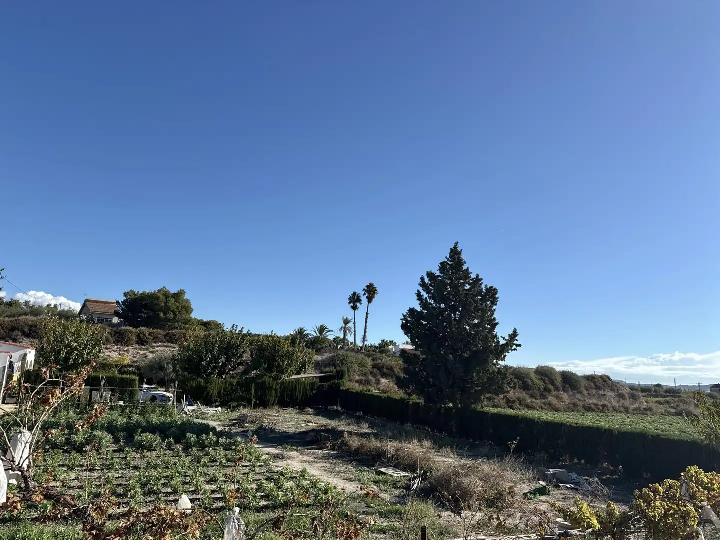 Casa o chalet en venta en Novelda con Calefacción, Terraza y Piscina