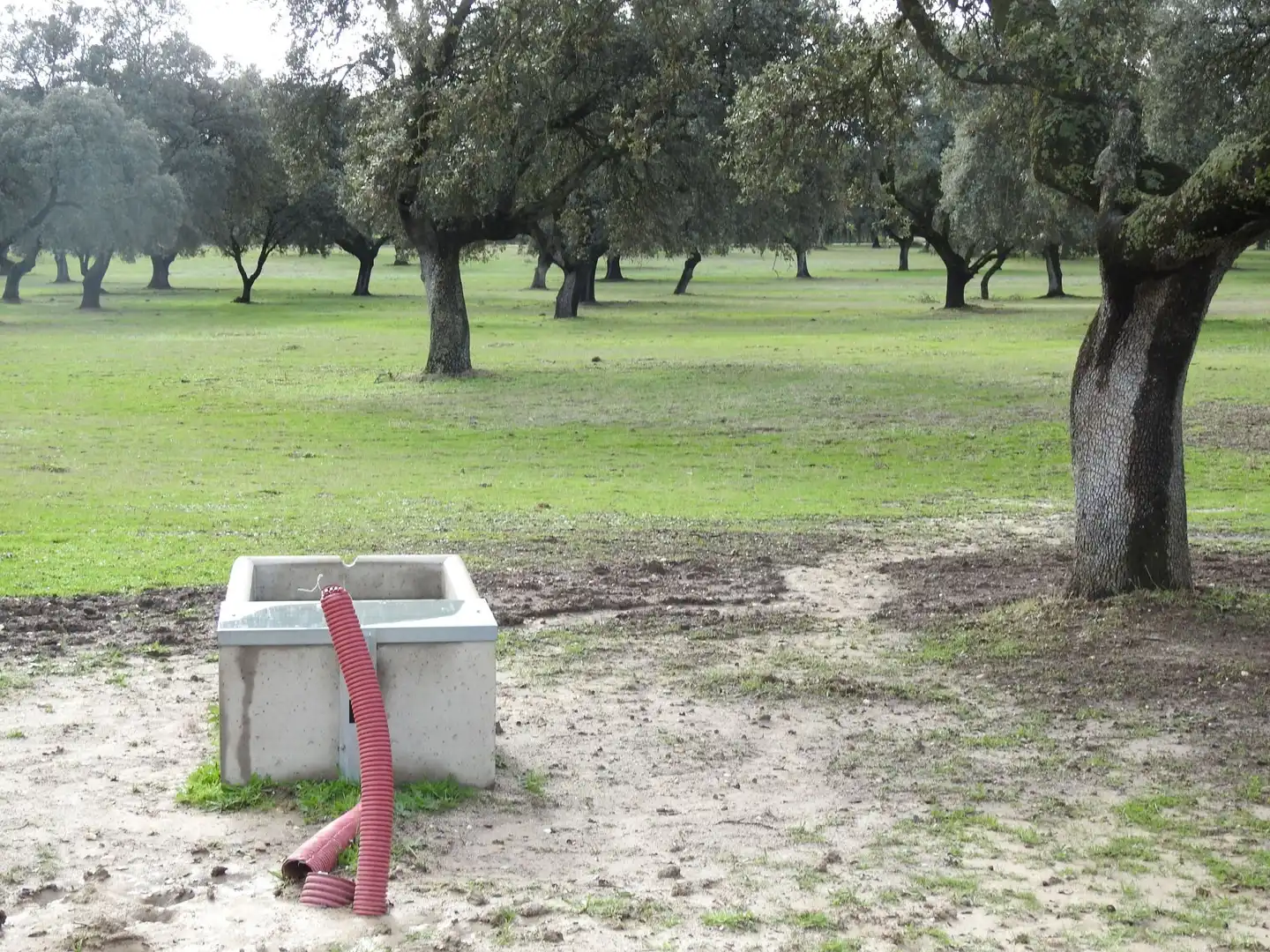Garten von Grundstücke zum Verkauf in Torralba de Oropesa