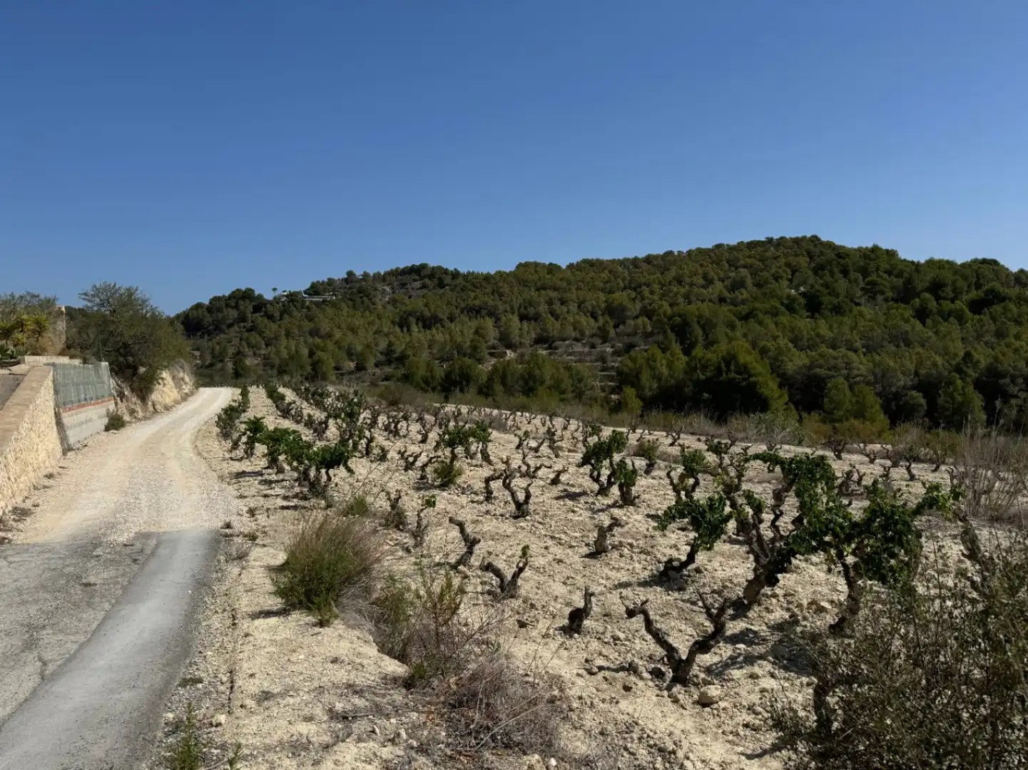 Terrenos y solares en venta en Benissa pueblo, imagen 5