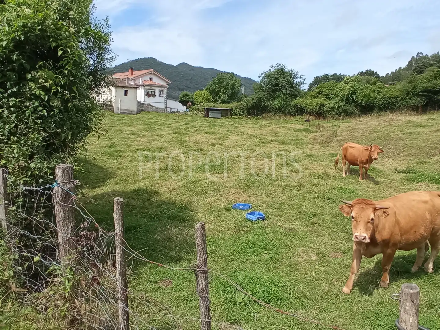 Lands and plots for sale in Samano