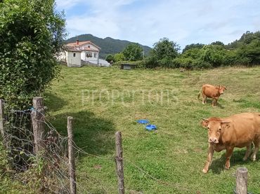 Terrenos y solares en venta en Samano