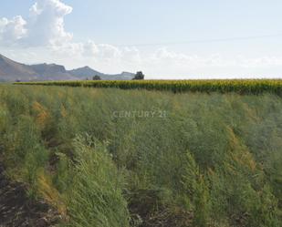 Finca rústica en venda en Pinos Puente