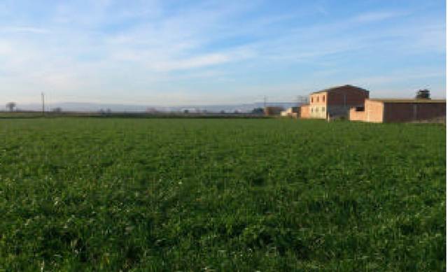 Terreno en Venta en CL PARCELA en Movera