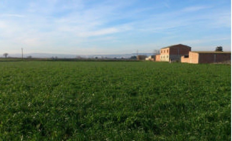 Land for sale in  Zaragoza Capital