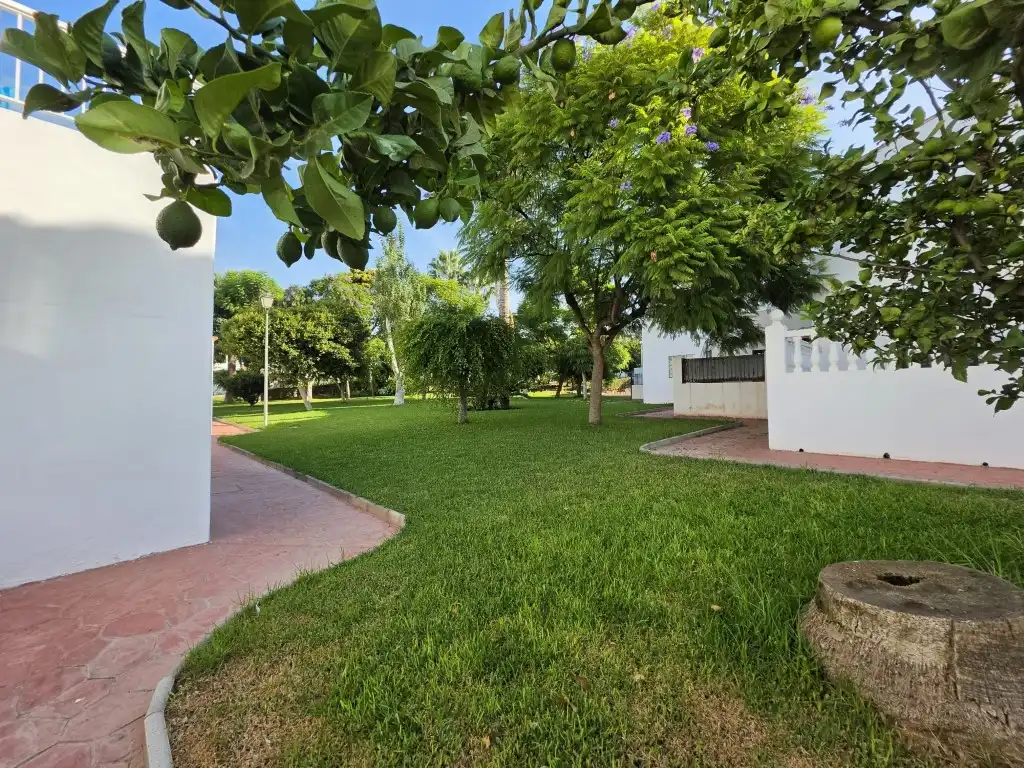 Adosado con piscina en venta en Caleta de Vélez, imagen 19
