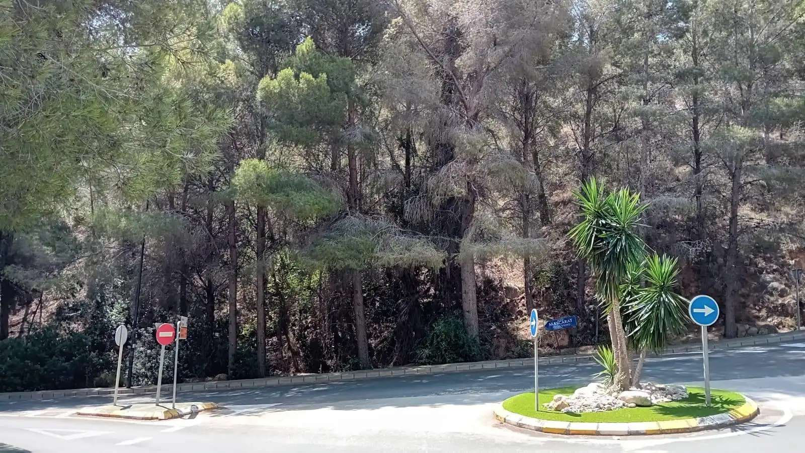 Lands and plots for sale in Mascarat, imagen 5