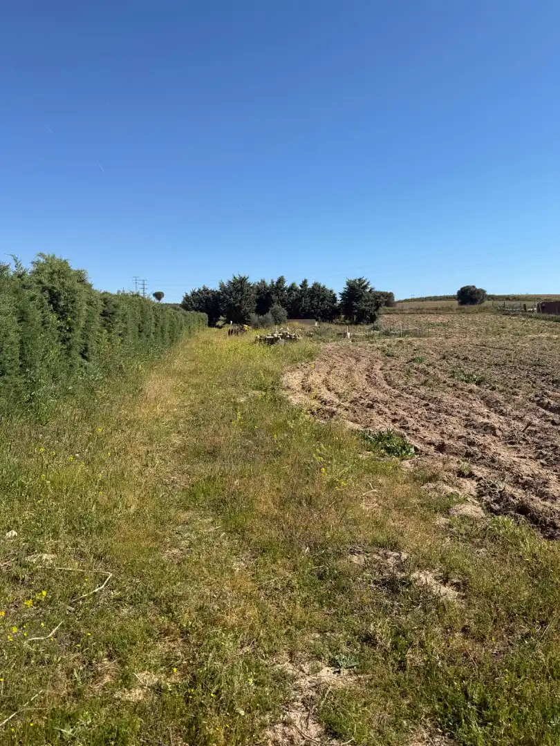Rural land for sale in Diseminado Navalcarnero, imagen 19