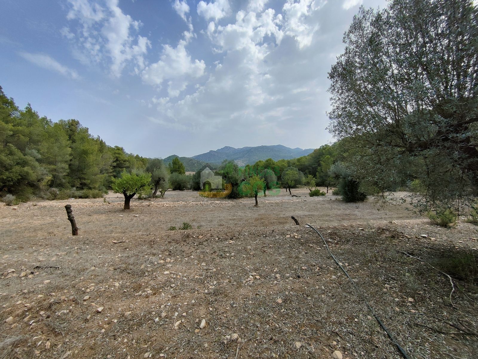 Land for sale in Móra d'Ebre