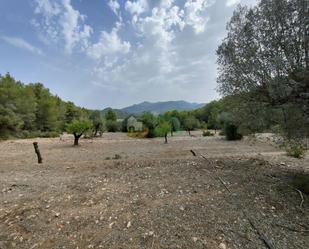 Land for sale in Móra d'Ebre