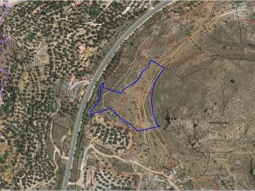 Rural land for sale in Alcolea