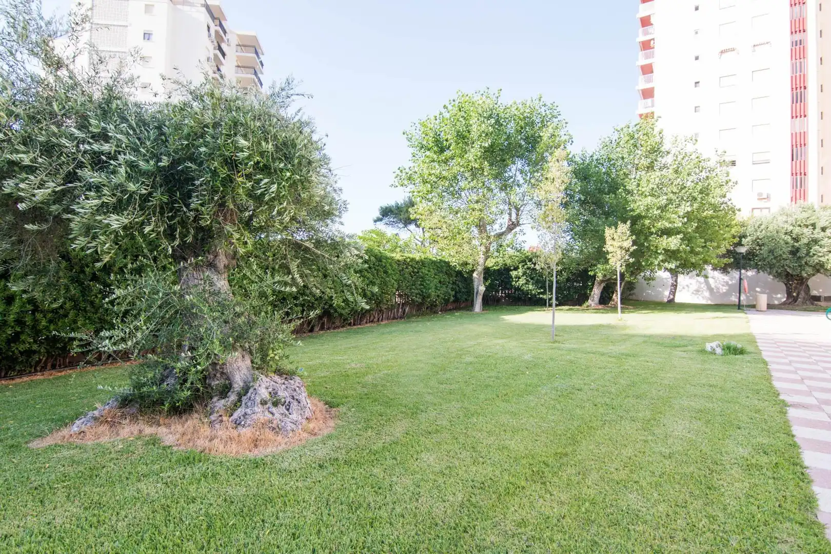 Apartment with pool for sale in Playa de Gandia, imagen 20