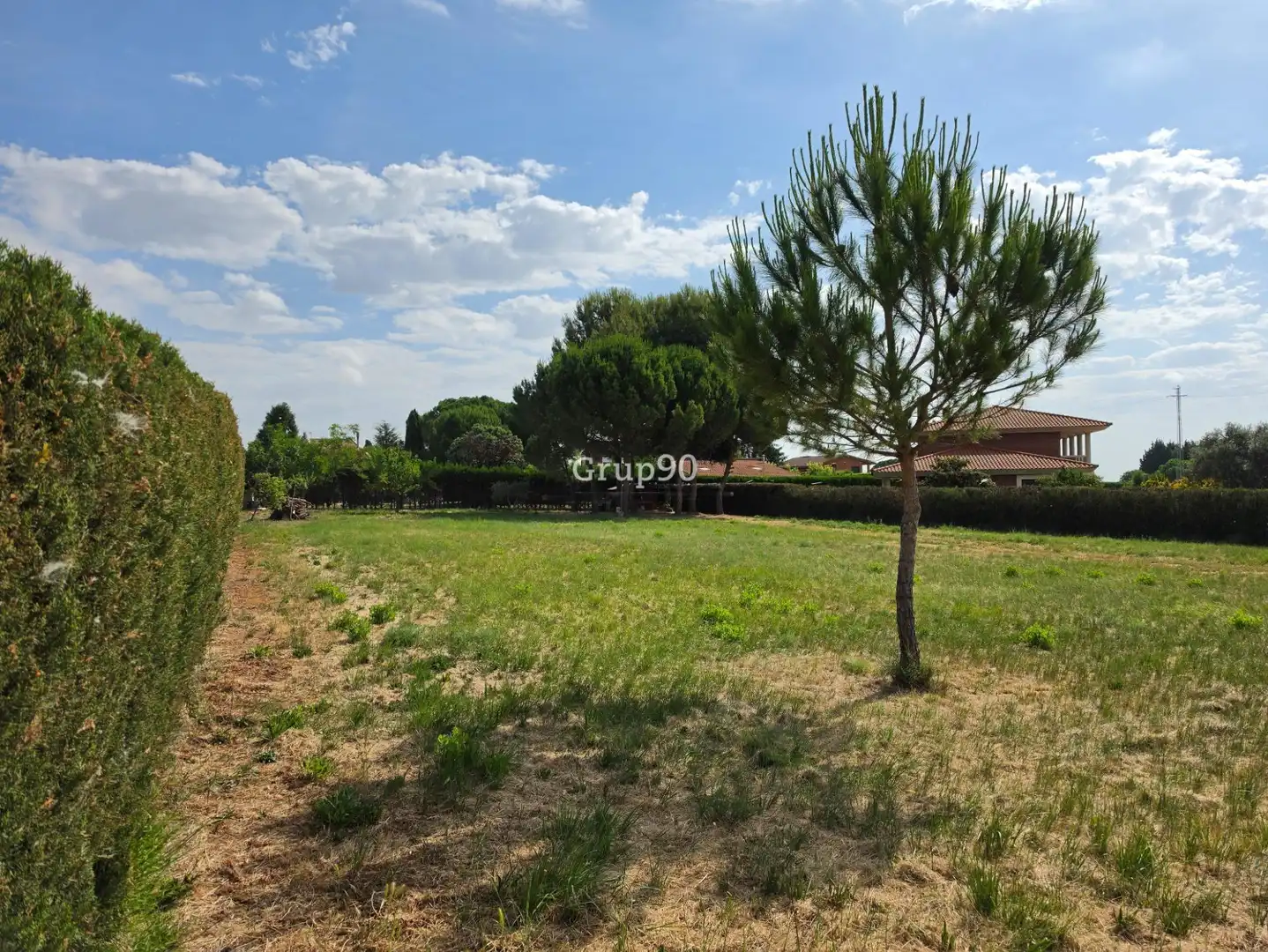Terreny residencial en venda a Alpicat, imagen 5