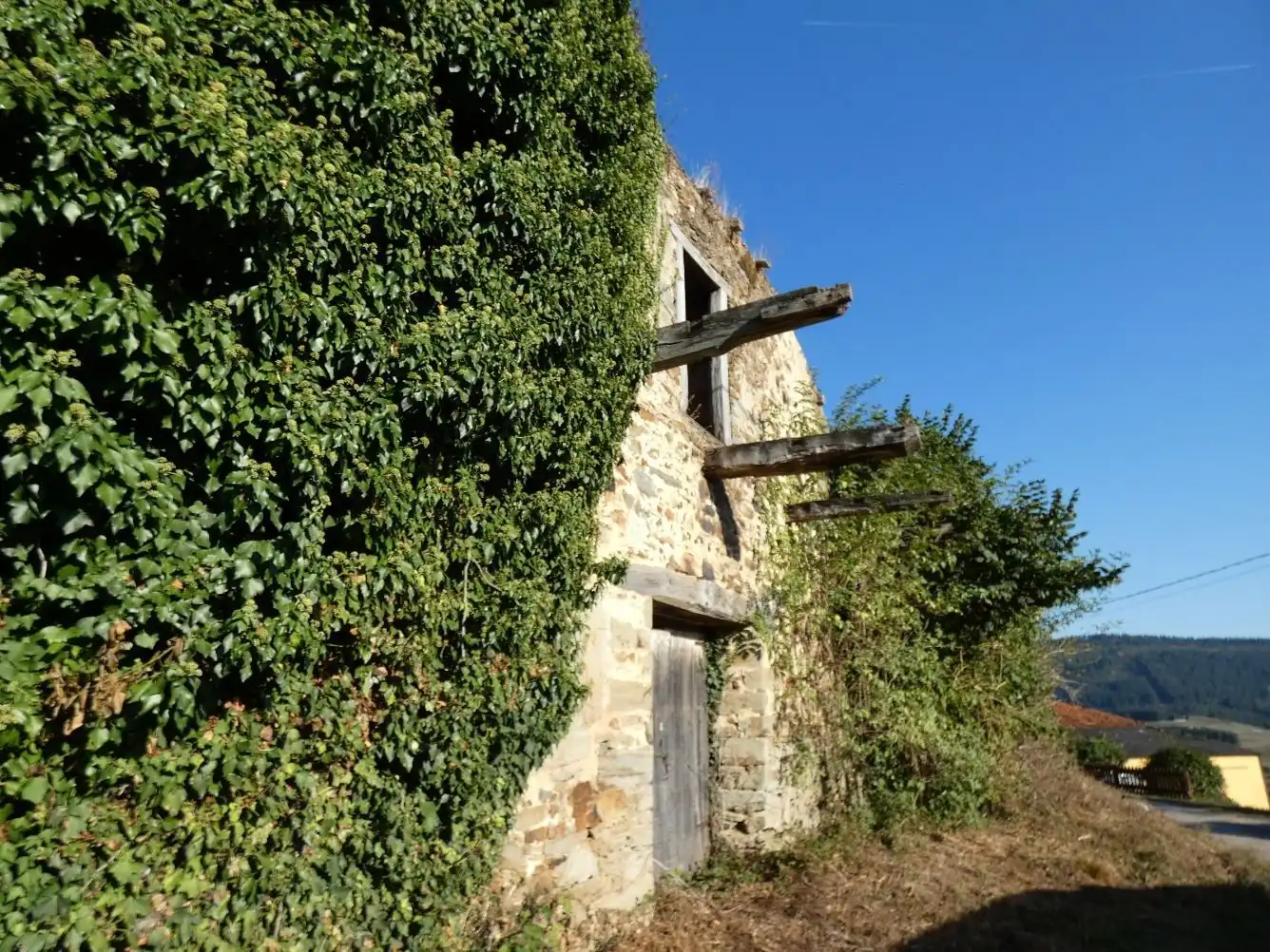 Lands and plots for sale in Tineo, imagen 4