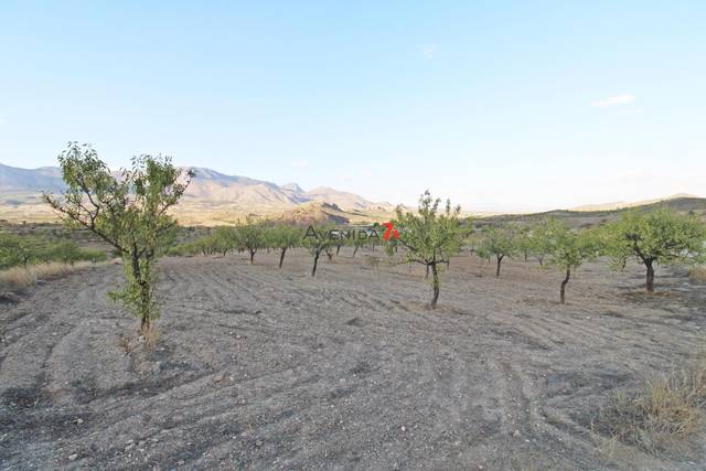 Terreno en Venta en Vélez-Rubio