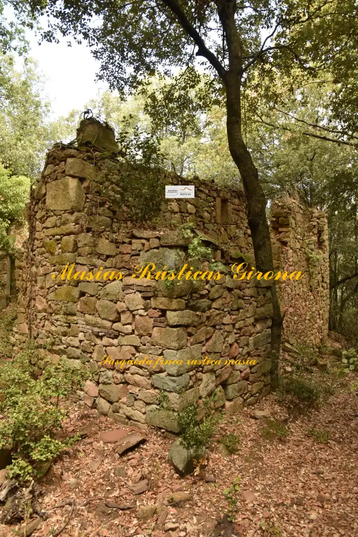 Casa rústica amb jardí en venda a Susqueda, imagen 2