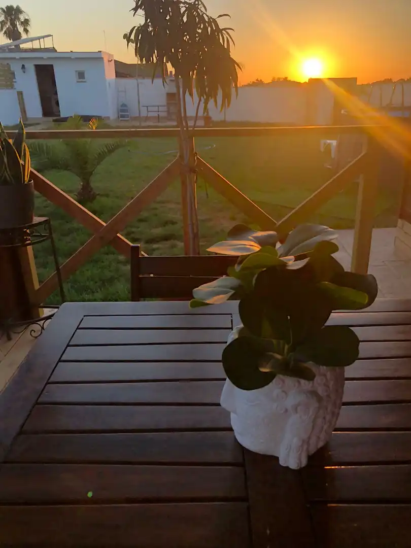 Terrassa de Casa o xalet de lloguer en Chiclana de la Frontera amb Aire condicionat, Jardí privat i Terrassa
