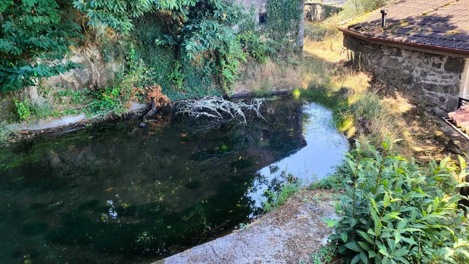 Finca rústica en venta en Lugar San Pedro, A Bola