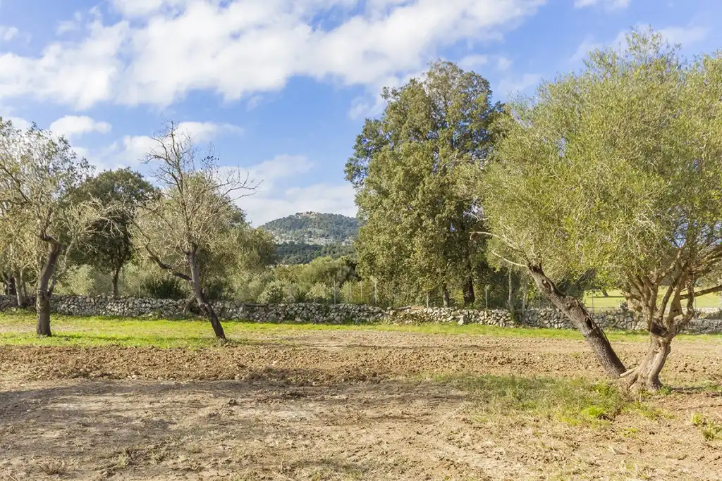 Land for sale in Pollença