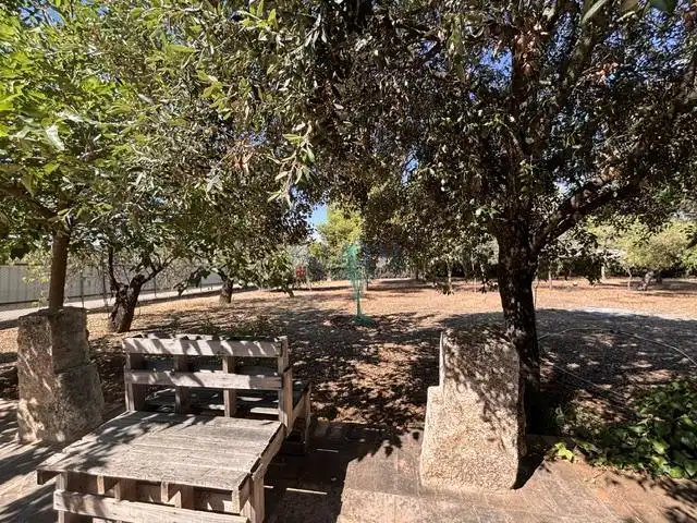 House with pool for sale in Valdepeñas, imagen 5