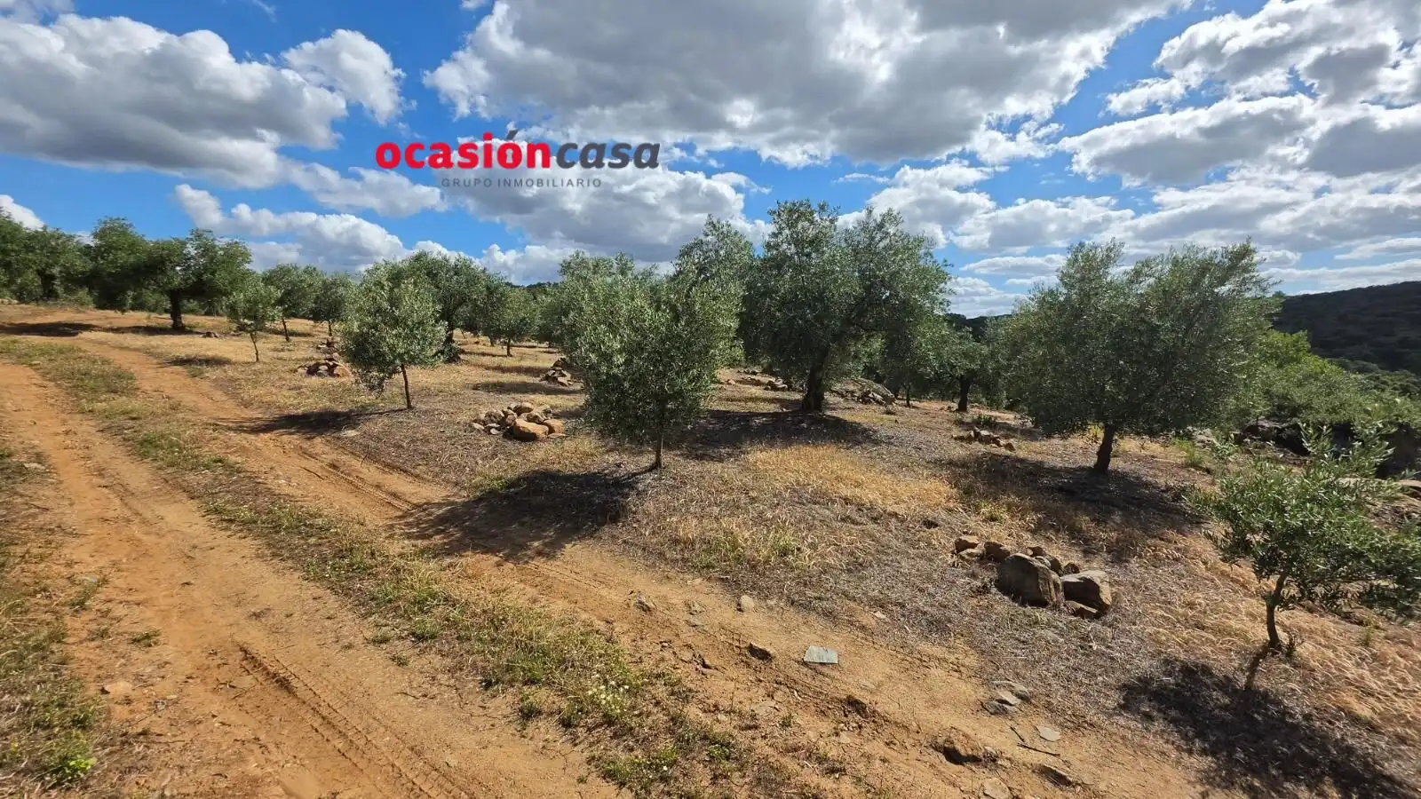Residential land for sale in Fuente Obejuna, imagen 12