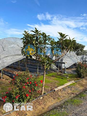 Terreno en Venta en San Juan del Puerto