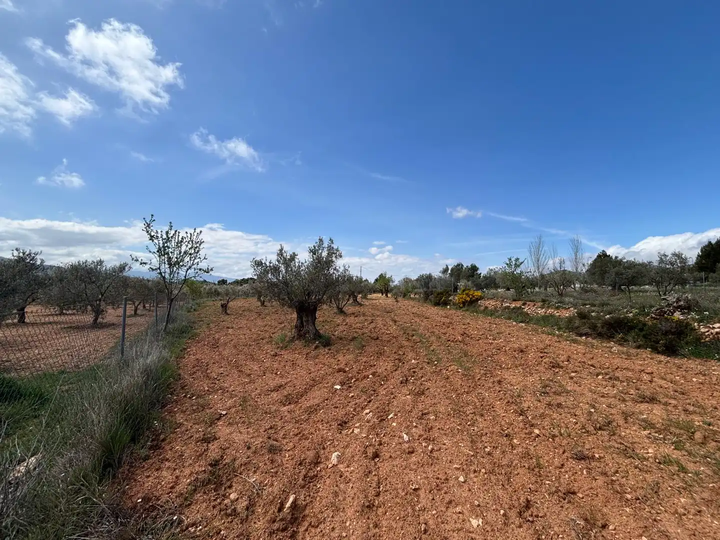 Terreno rústico en venta en CV-806, imagen 12