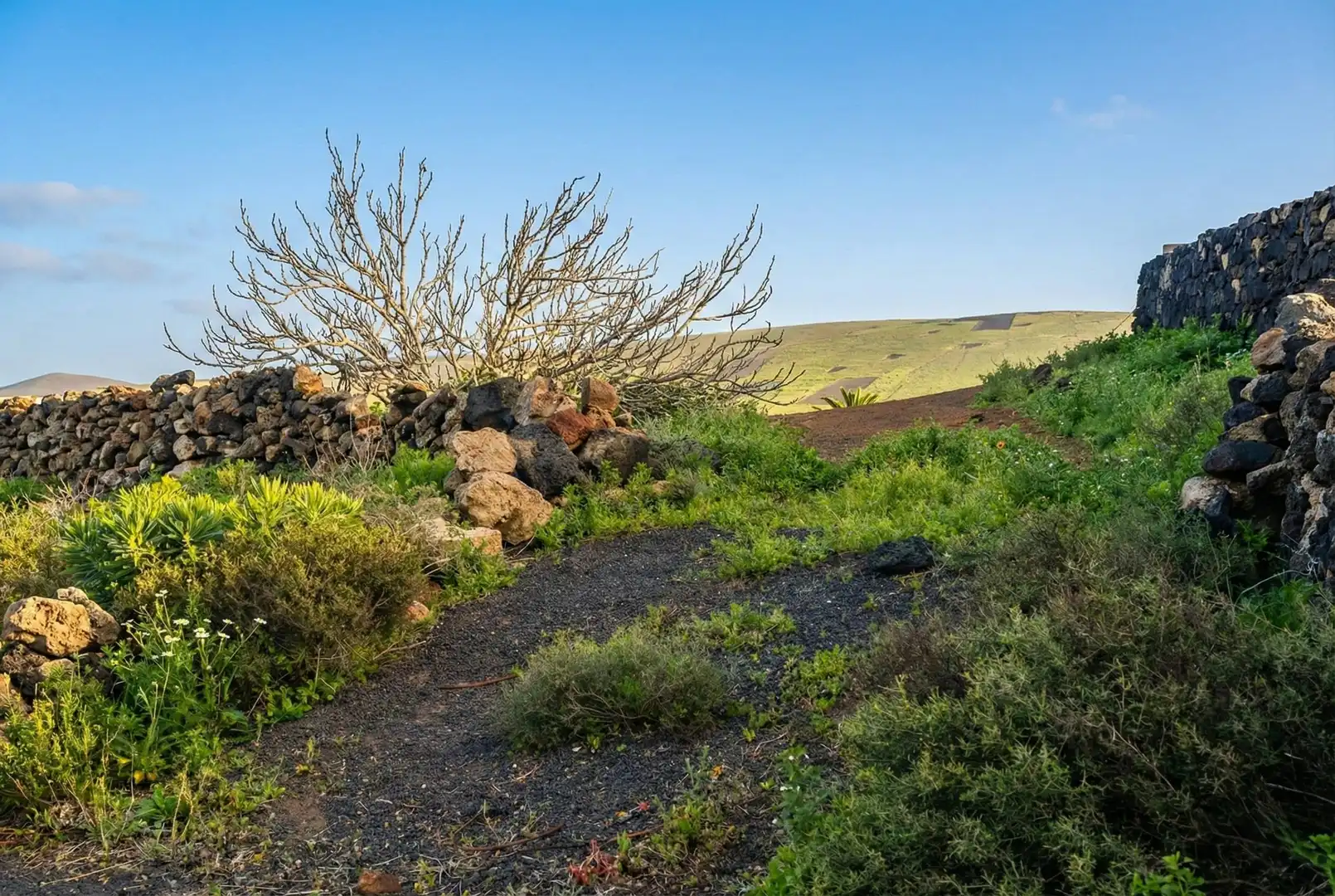 Residencial en venda en Teguise