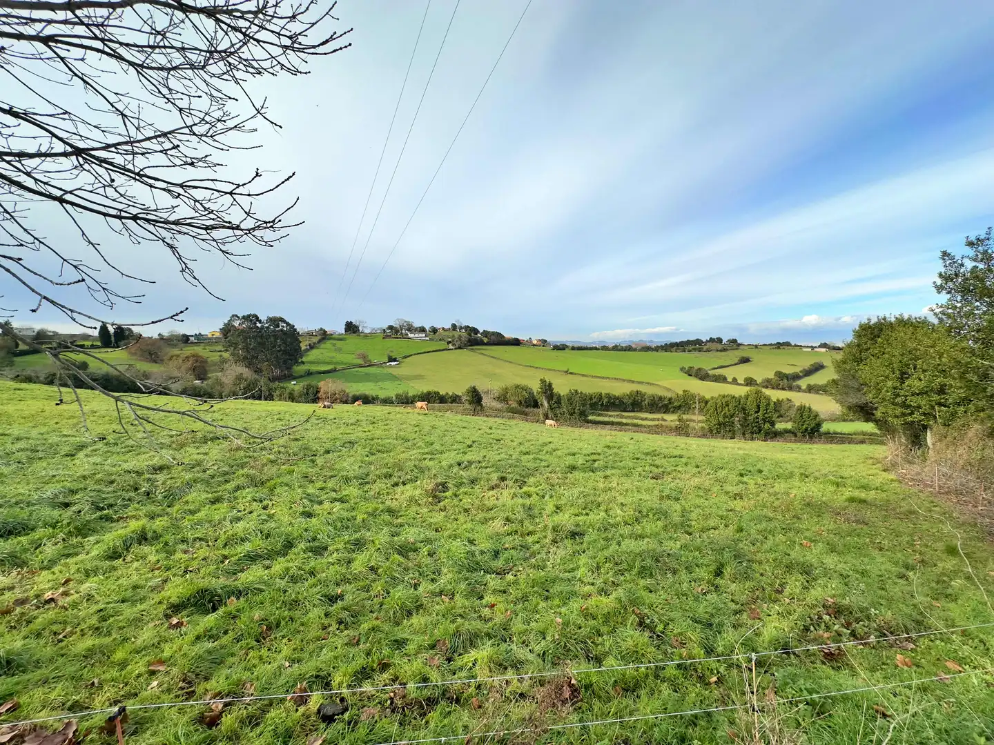 Terreno residenziale in vendita a Rural, imagen 14