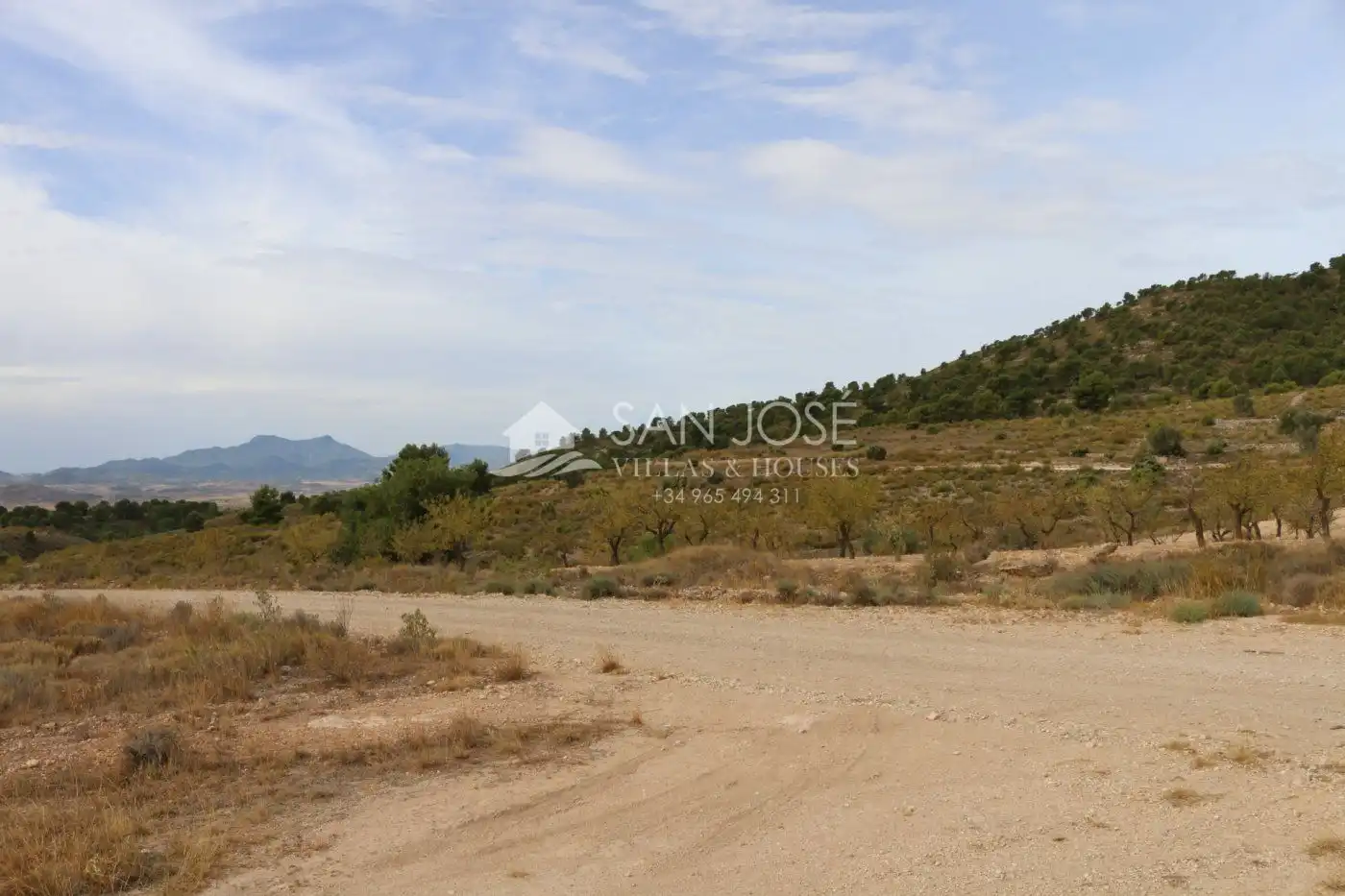 Rustikales Grundstück zum Verkauf in Jumilla, imagen 14