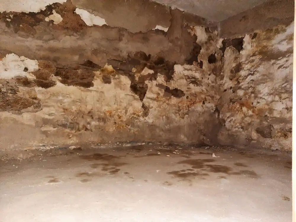Casa o xalet en venda en Brozas