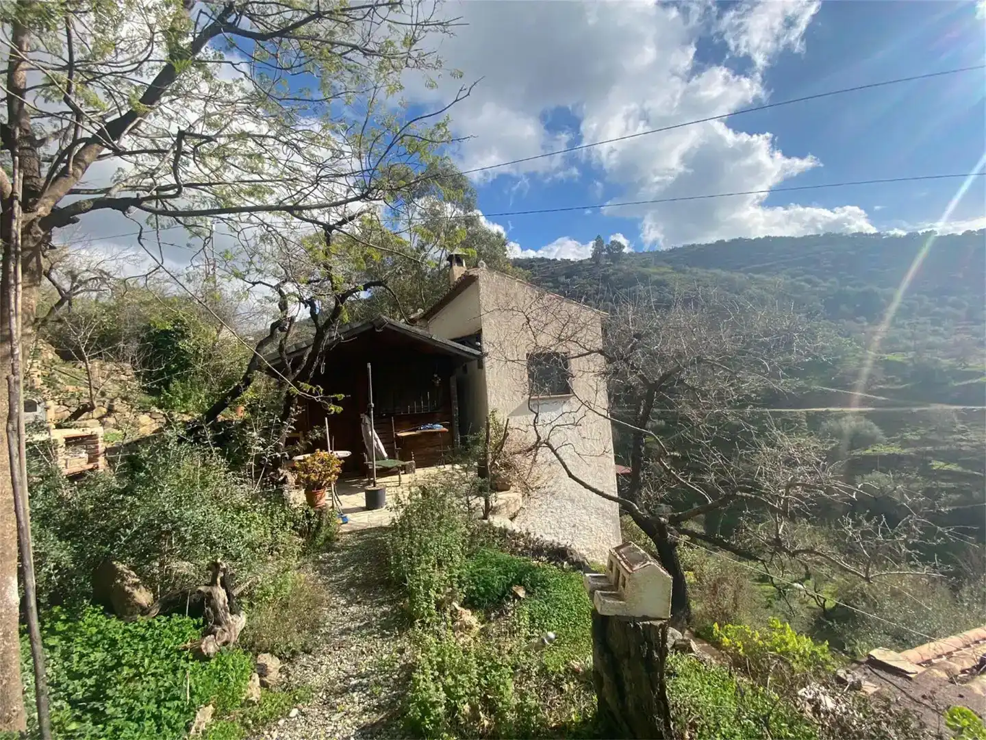 Vista exterior de Finca rústica en venta en Arenas, Málaga