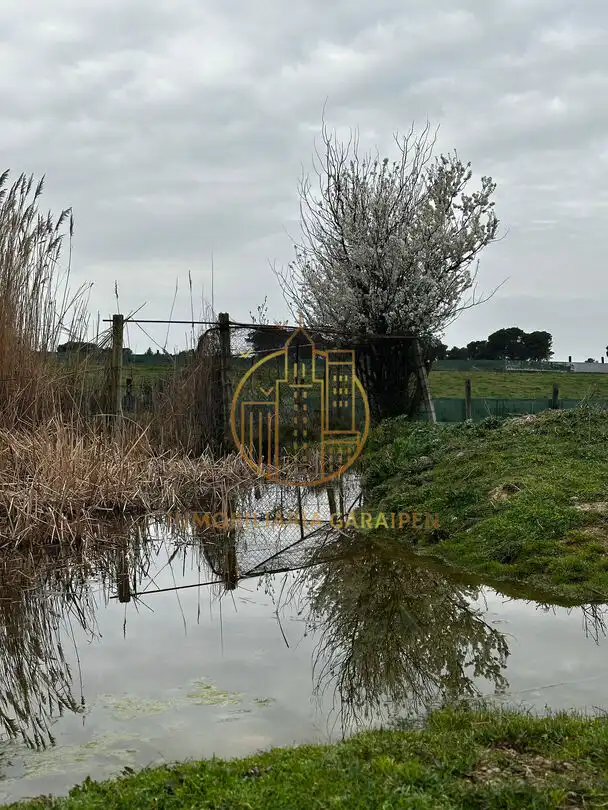 Rural land for sale in Murillo El Cuende, imagen 44