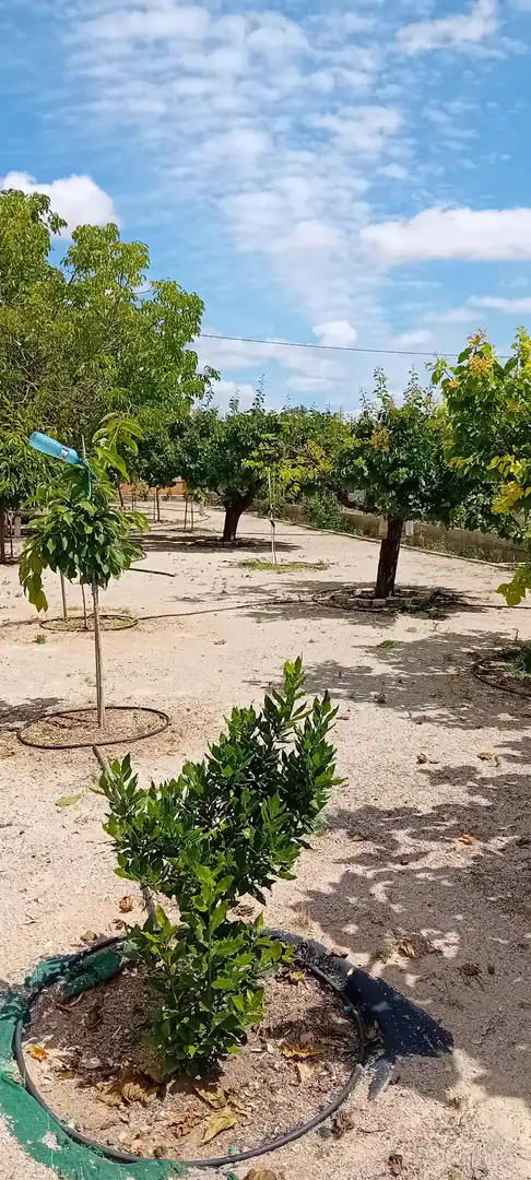 Chalet con piscina en venta en Pedanías - Extrarradio, imagen 19