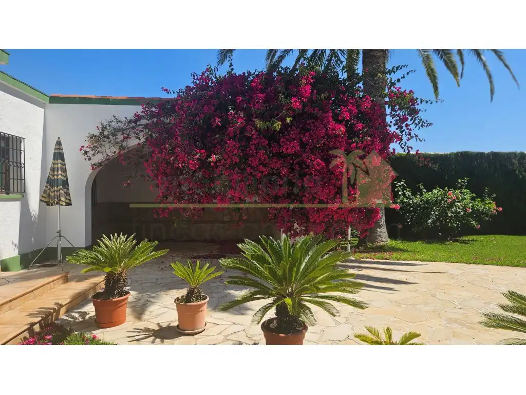 Jardí de Casa o xalet en venda en Vinaròs